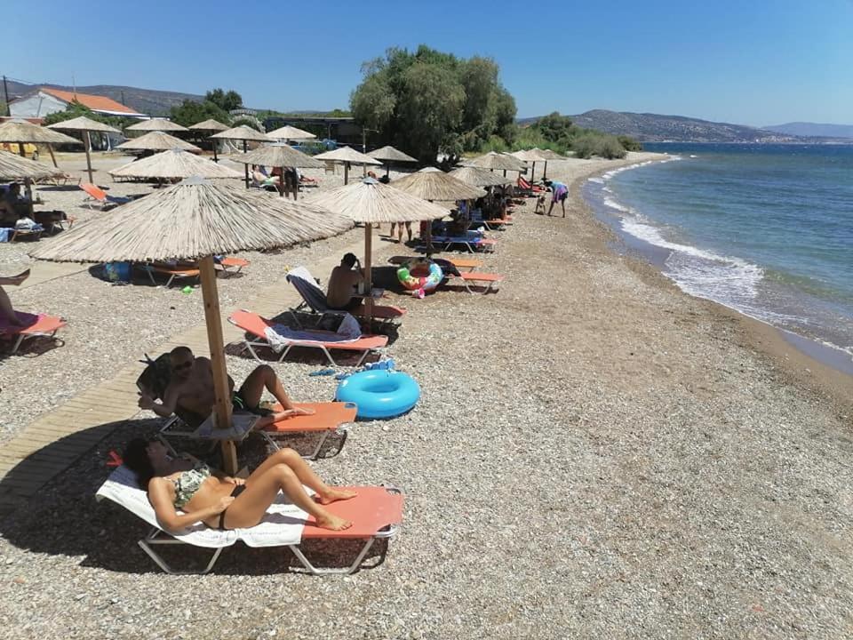 Maria 1 With Hot-tube * Ireo (Samos)